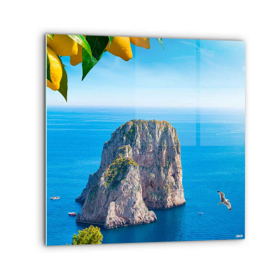 Quadro "Capri": Veduta...