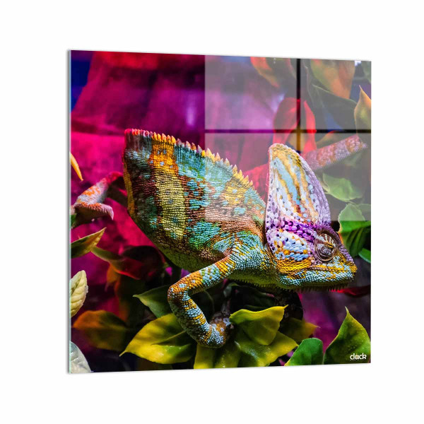 Quadro "Jack": Il Camaleonte Velato e i Suoi Colori Nascosti