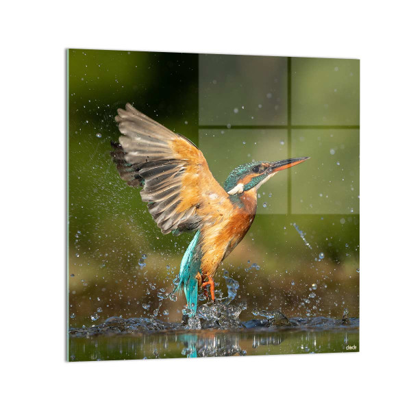 Quadro "Martin Pescatore": Vivacità Acquatica su Vetro